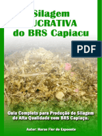 Silagem Lucrativa Do BRS Capiacu