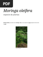 Moringa Oleifera - Wikipedia, La Enciclopedia Libre