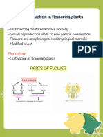 SRFP Neet 2024