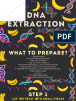 DNA Banana Extraction