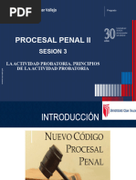 Sesión 3 - Derecho Procesal Penal II