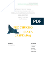 Pez Chucho