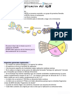 Replicacion Transcripcion y Traduccion 1 Downloable