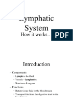 Lymphatic System