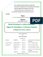 Etude Botanique Et Phytochimique - Approche Iologique Et Pharmacologique D'opuntia Ficus Indica