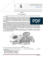 Biologia e Geologia: Pneumophyta