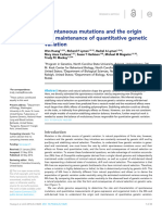 Spontaneous Mutations and The Origin and Maintenance of Quantitative Genetic Variation