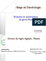 Evolution & Systémaque Du Genre Pinus - André Toussaint