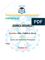 Portafolio Comple