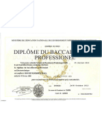 Diplôme Du Baccalauréat: Professionel