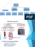 Trematodes