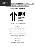 Proyecto de Investigaciòn - Introducciòn (Grupo 1)