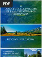 Conocemos Los Procesos de La Nutrición en Los Seres Vivos