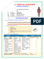 3 SESION CT. El Sistema Muscular