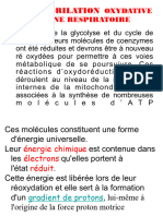 3 - Chaine Respiratoire