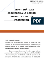 Algunas Temáticas Asociadas A La Acción de Protección