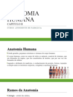 Anatomia Humana