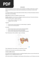 Otitis Externa Resumen