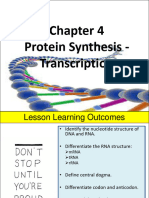 4.9 Chapter 4 - Protein Synthesis - Transcription