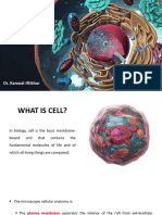 The Cell