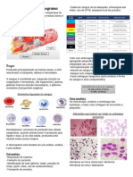 Interpretação de Hemograma