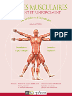 Chaînes Musculaires, Étirement Et Renforcement - de La Théorie À La Pratique