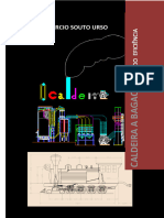 Caldeira A Bagaço - Gerando Eficiência