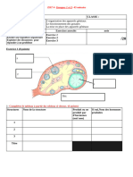 Notions Testées L'organisation Des Appareils Génitaux Le Fonctionnement Des Gonades La Mise en Place Des Appareils Génitaux