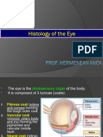 2.eyes Histology