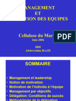 Management Et Animation Des Équipes. Cellulose