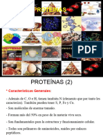 Tema 5 Proteinas