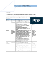 Ejercicio de Cuadernillo: CICLO VITAL: Actividades