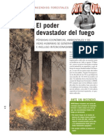 El Poder Devastador Del Fuego, Incendios Forestales