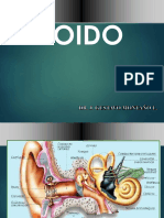 Anatomia de Oido 1