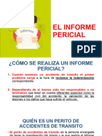 Informe Pericial