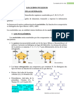 Ácidos Nucleicos