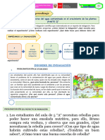 CTA - Expermiento de Cebollas