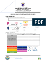 Mendel and Heredity Worksheet