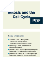 Mitosis and The Cell Cycle