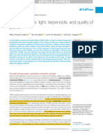 Menage A Trois Light, Terpenoids, and Quality of Plants