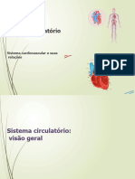 Ah 4 - Cardioresp