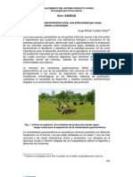 Serie: SANIDAD. La Nematodiasis Gastrointestinal Ovina, Una Enfermedad Que Causa Retraso en El Crecimiento y Mortandad