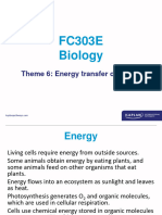 Cellular Respiration