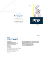 Tema 11 Transcripción