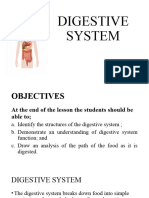 Digestive System