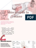 Presentación Mi Proyecto Final Femenino Delicado Rosa y Nude