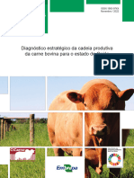 Diagnostico Carne Bovina Embrapa