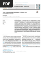 Vision Transformer Based Classification of Gliomas - 2024 - Expert Systems With