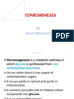 Gluconeogenesis 2023