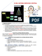 Generalidades Del Sistema Nervioso